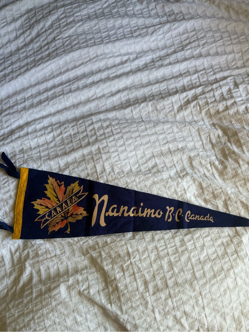 Vintage Nanaimo BC Canada Felt Pennant - Navy & Gold
